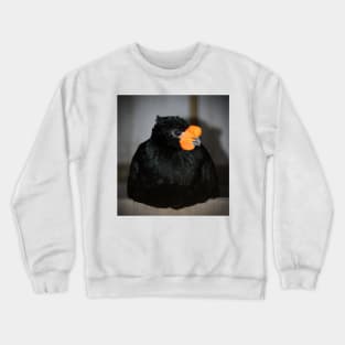 Black And Orange Crewneck Sweatshirt